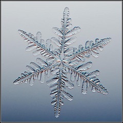 Photo:  Snowflake 1